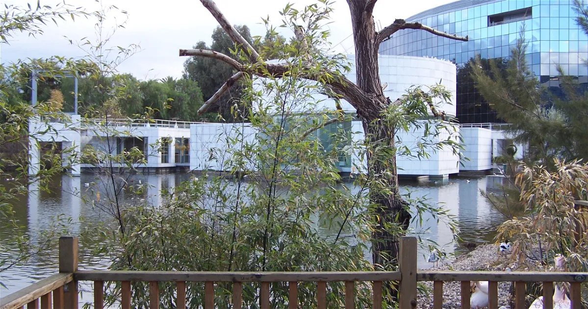 🏛️ 니스 아시아 예술 박물관 (뮈제 데자르 아시아티크 드 니스)